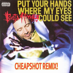 Busta Rhymes - Put Your Hands Where My Eyes Could See (Cheapshot Remix)