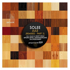 Solee - Jule (Dany Holm Remix) / Parquet Recordings parquetltd029
