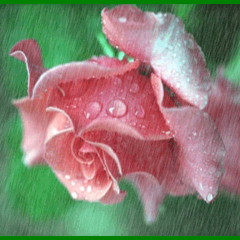 စလယ္၀င္အုိးေလး - ရတနာဦး