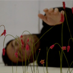 Interlude # 1 from "The Experiment" (2011/15)