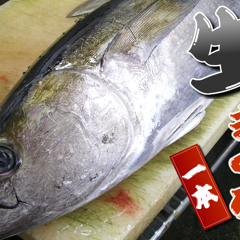 IKUZO×Capsule×DaftPunk×BeastieBoysxMaguro