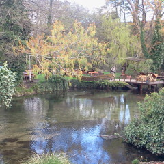 Nije on covek za tebe