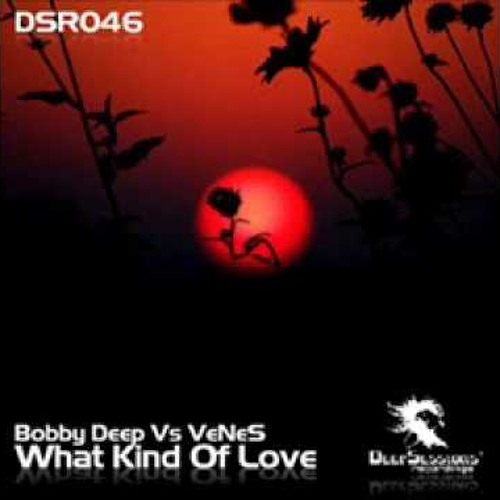 Bobby Deep & Venes- What Kind Of Love(Kostas Skretas & Sergi Remix)