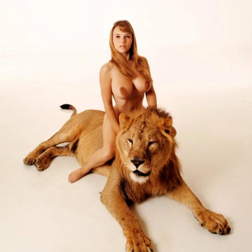 Makima rule 34 animated - travelexp.me