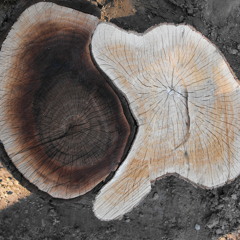 Hello Goodbye - Easy Legion