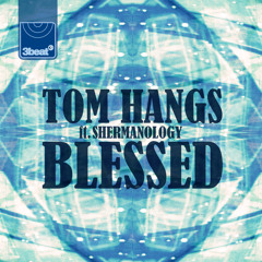 Tom Hangs ft Shermanology - Blessed (Avicii Edit)