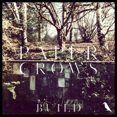 Paper Crows - "Happier" (Rudimental Remix)