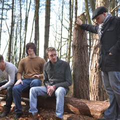 The Fallows - Lo And Behold