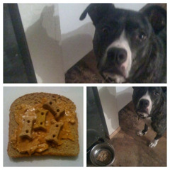 KONY1961 - A Couple Of Things You Should Know About Saxophones