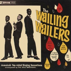 The Wailers - And I Love Her [Honest Lee Re-Edit]