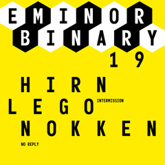 EMINOR binary #19 - 1 - Hirnlego - Intermission-Snippet