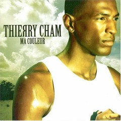 Thierry Cham - Tout Oublier