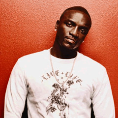Akon - Bananza  "Belly Dancer"  - Mr Zaikov Remix