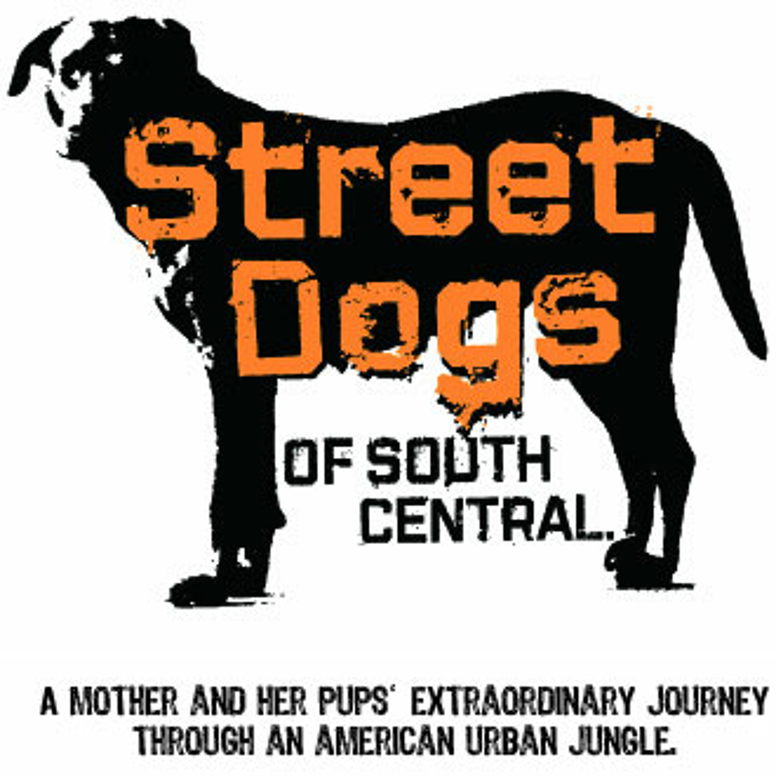 Street Dogs of South Los Angeles - Interview with the film makers