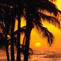 Numbers - Dust In The Summer