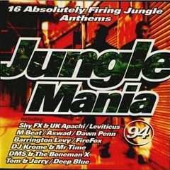 The first CD I ever bought was Jungle Mania '94
