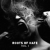 Sht061 Various Artists Roots Of Hate Vol 1 Mp3