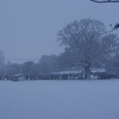 Girl from the north country