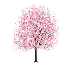 Busker busker ~ cherry blossom ending