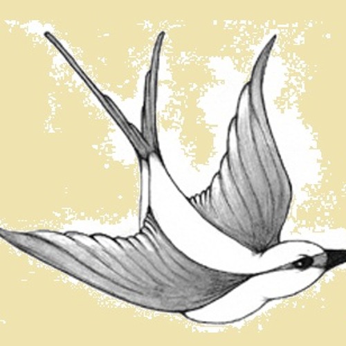 Swallow