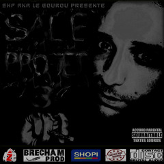 04 SHF feat Mr HASH & DJ FLAKES aux scratches et a la prod Goldrimeur (sale projet 3)