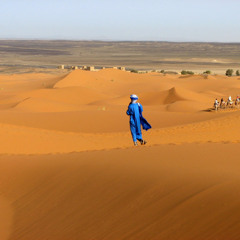 Desert Traveller (Album)