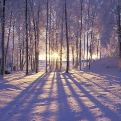 Winter Solstice
