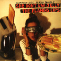 The&#x20;Flaming&#x20;Lips She&#x20;Don&#x27;t&#x20;Use&#x20;Jelly Artwork