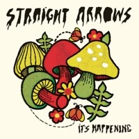 Straight Arrows - Something Happens