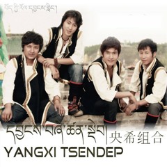 Yangxi Tsendep - Happy new year