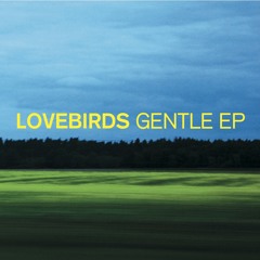 Lovebirds - Gentle (128 kBit)