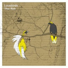Lovebirds - The Rat (128 kBit)
