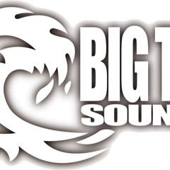 DUBPLATE EL PAPADO (BIG TSUNAMI SOUND)