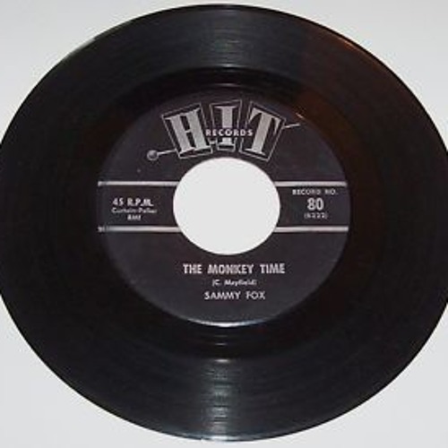 Sammy Fox ♫   The monkey time ♫
