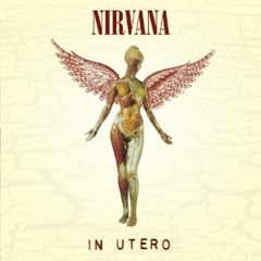 Nirvana - Frances Farmer Will Have Her Revenge On Seattle (Guitar Cover)
