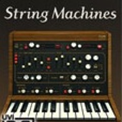 String Machines | String Machines by JJ Pedrazzani (String Machines & Darklight IIx)