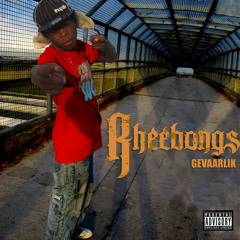 The good & the bad Rheebongs Unknown Album (7-14-2010 1-09-31 PM) HipHop