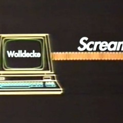 Wolldecke - Scream (Original Mix)