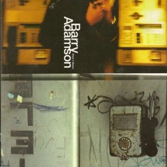 Barry Adamson - What It Means