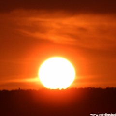 You Are The Sun (instr)