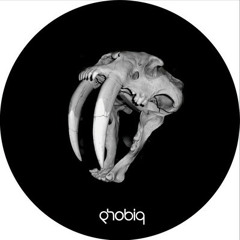 Snello - Evergreen (Kalden Bess Remix) [Phobiq]