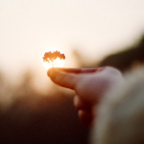 Steve Gibbs - In Passing