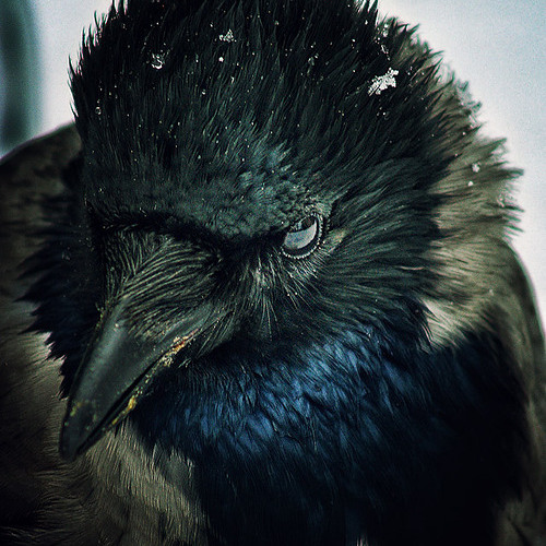 Grey Highway ft. Mhyst