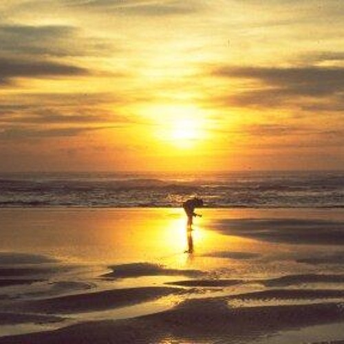 Better Tomorrow