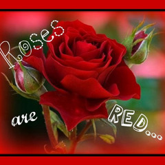 Pee Wee, Ave Da Grizz, LV, Streetz, Ida & Bianca -" Love Riddles" Prod. by Kenny boi