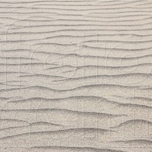 HolgaCaust-schreibESmirINdenSAND2011(blAkebeAtz)