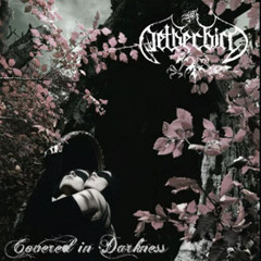 Netherbird - As i Die (Paradise Lost)