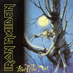 Buğra Uğur-Fear of the Dark (Iron Maiden Cover)