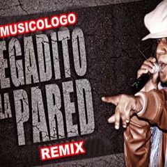 Dj musicologo , pegadito ala pared mix 2012