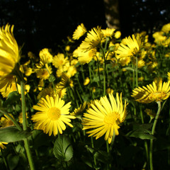 From:other::sounds (1st ableton track)